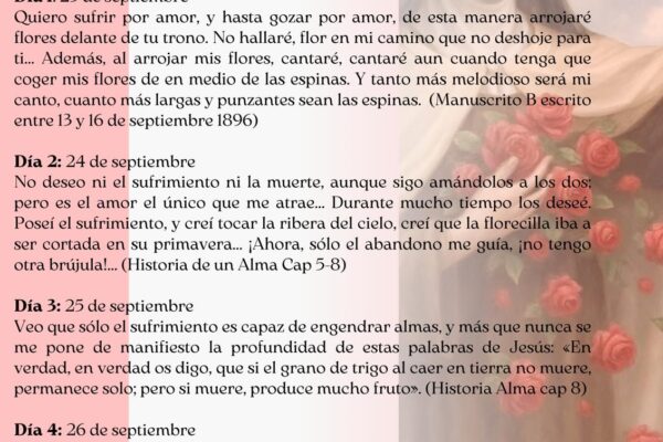hallo-mi-alegria-en-el-sufrir2